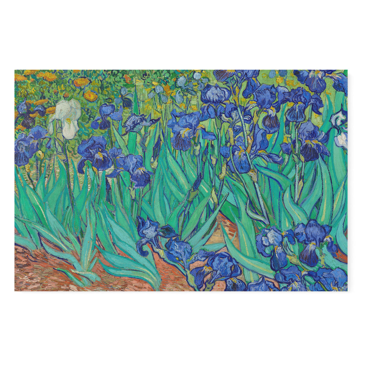 "Irises" Famous Vintage Wall Art Canvas by Vincent van Gogh Canvas Wall Art Sckribbles 48x32  