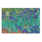 "Irises" Famous Vintage Wall Art Canvas by Vincent van Gogh Canvas Wall Art Sckribbles 48x32  