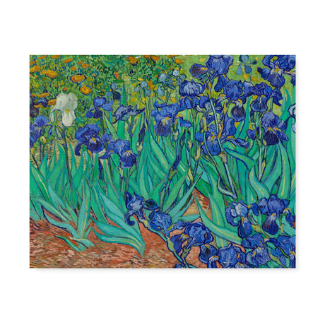 "Irises" Famous Vintage Wall Art Canvas by Vincent van Gogh Canvas Wall Art Sckribbles 30x24  