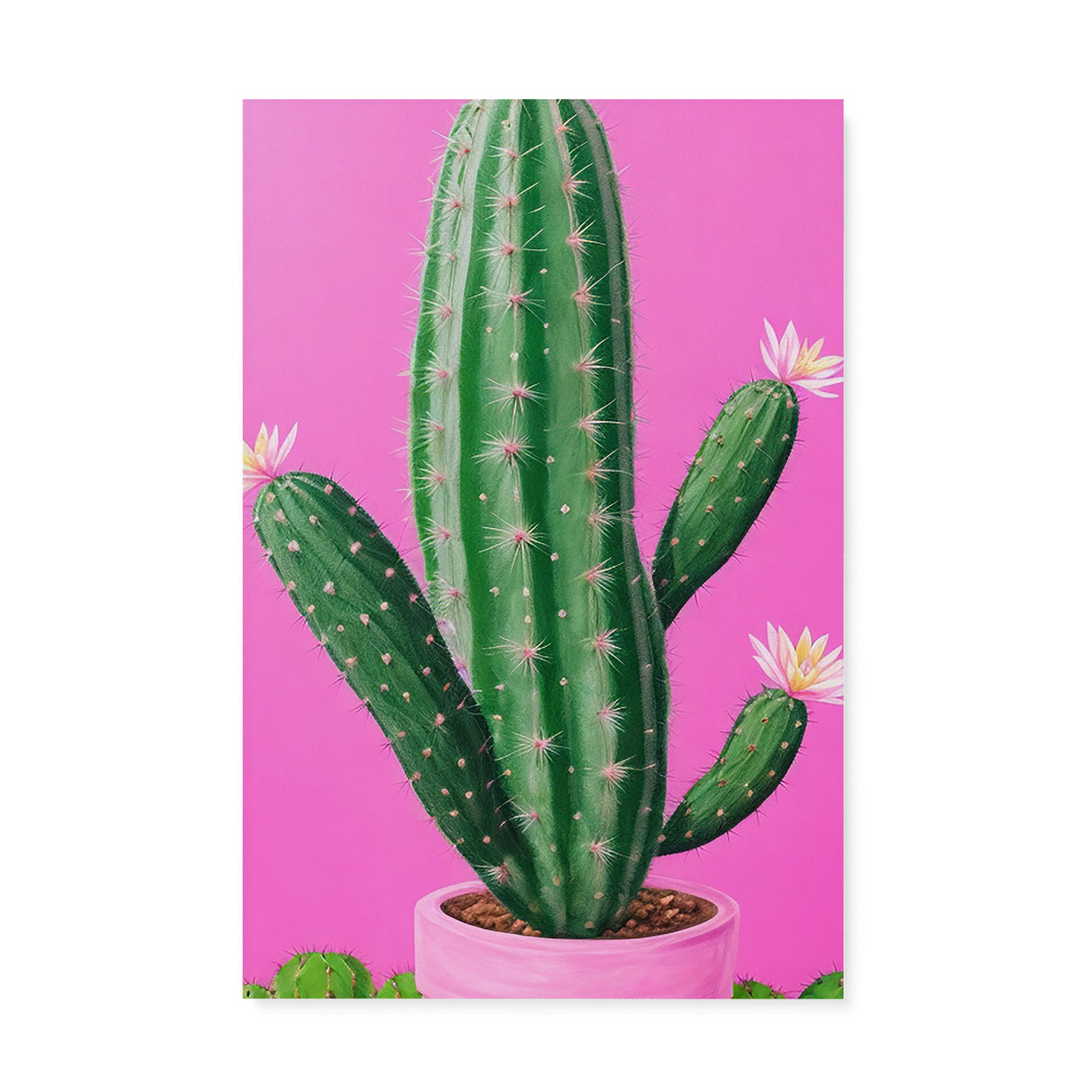 Bright Pink and Green Canvas Wall Art {Cactus Love} Canvas Wall Art Sckribbles 20x30  
