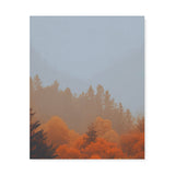 Landscape of Autumn Forest Trees Wall Art Canvas {Autumn Forest} Canvas Wall Art Sckribbles 24x30  