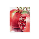 Watercolor Kitchen Fruit Wall Art Canvas {Pomegranate Love} Canvas Wall Art Sckribbles 8x10  