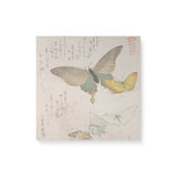 "Various Moths and Butterflies Vol 1" Japanese Wall Art Canvas by Kubo Shunman Canvas Wall Art Sckribbles 16x16  