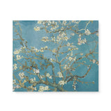 "Almond Blossom" Famous Wall Art Canvas Print by Vincent van Gogh Canvas Wall Art Sckribbles 24x20  