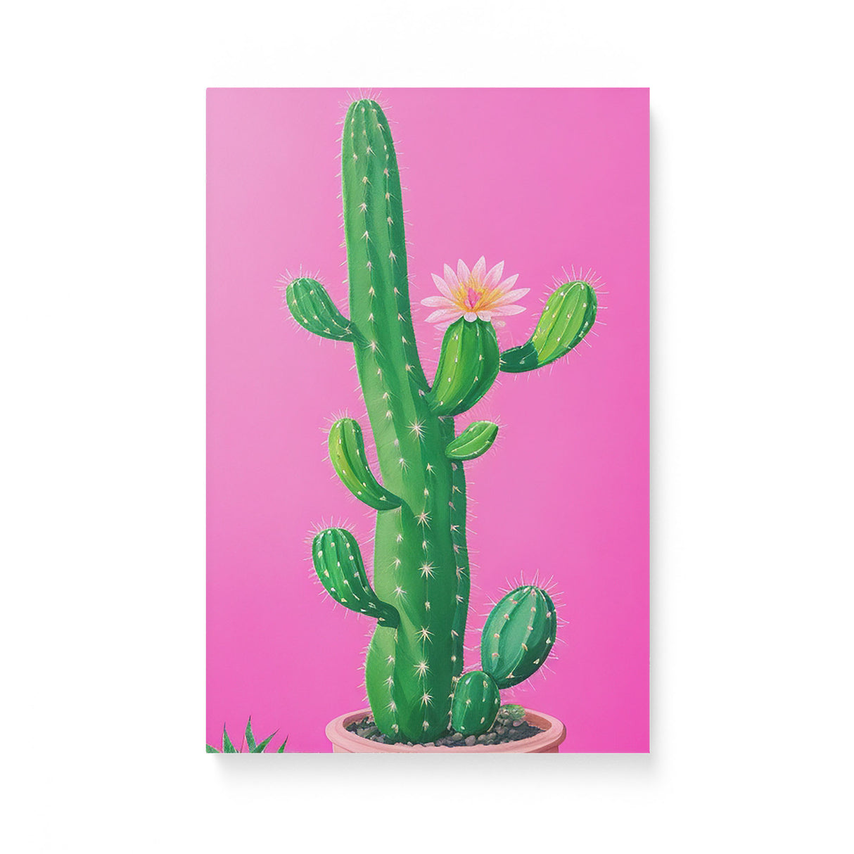 Bright Colorful Pot Plant Wall Art Canvas {Spunky Cactus} Canvas Wall Art Sckribbles 12x18  