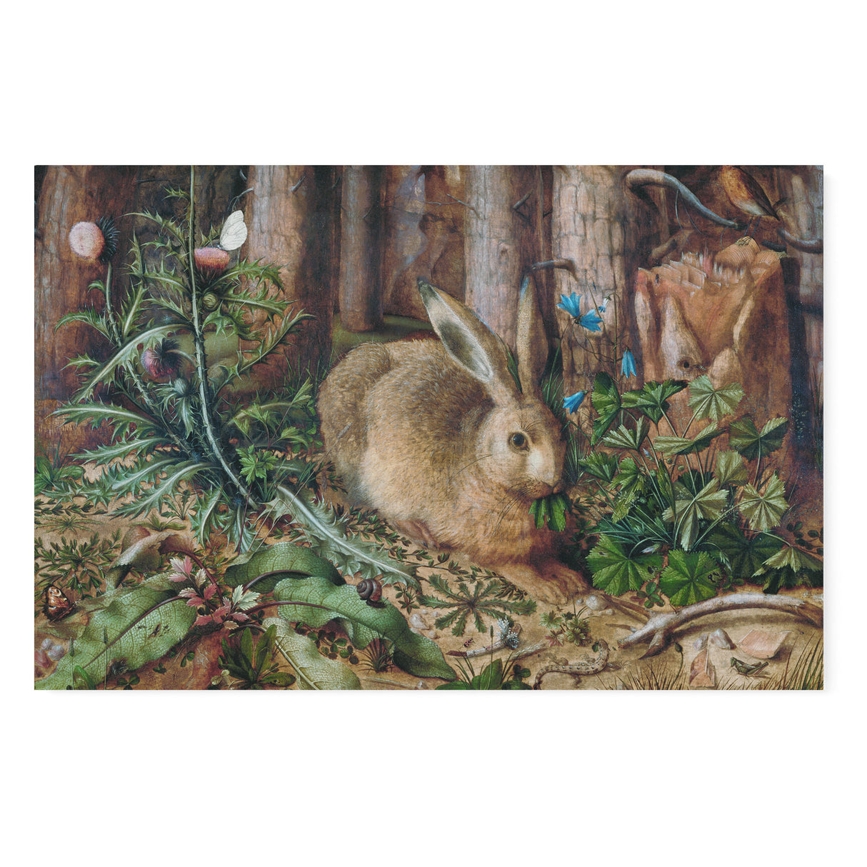 "A Hare in the Forest" Wall Art Canvas Print by Hans Hofmann (1585) Canvas Wall Art Sckribbles 48x32  