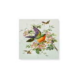 "Vintage Birthday Card with Birds, Flowers, and Butterflies" Wall Art Canvas Print Canvas Wall Art Sckribbles 8x8  