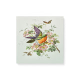 "Vintage Birthday Card with Birds, Flowers, and Butterflies" Wall Art Canvas Print Canvas Wall Art Sckribbles 16x16  