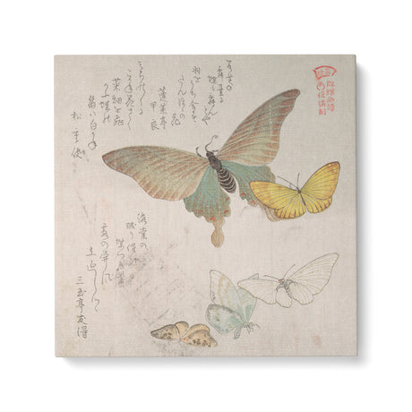 "Various Moths and Butterflies Vol 1" Japanese Wall Art Canvas by Kubo Shunman Canvas Wall Art Sckribbles 36x36  