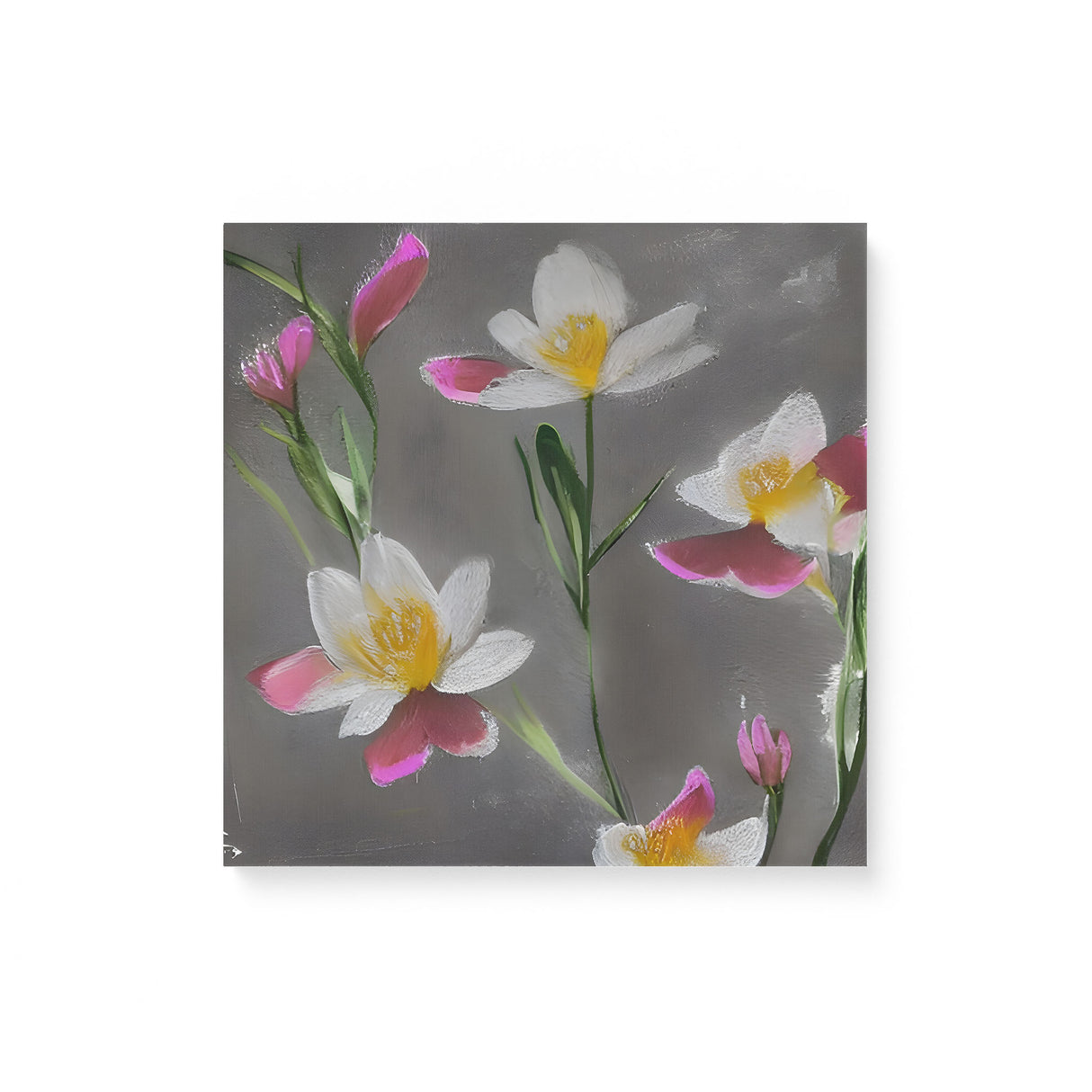 Floral Pink and White Flower Wall Art Canvas {Dainty and Darkness} Canvas Wall Art Sckribbles 16x16  