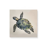 Neutral Turtle Watercolor Wall Art Canvas {Turtle Love} Canvas Wall Art Sckribbles 16x16  