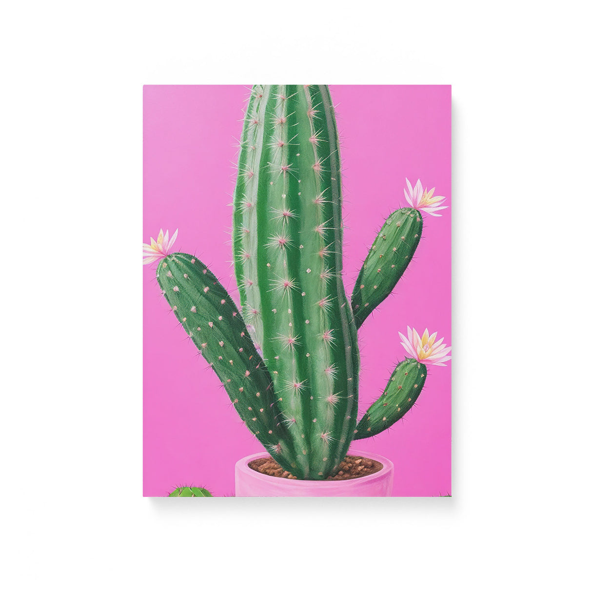 Bright Pink and Green Canvas Wall Art {Cactus Love} Canvas Wall Art Sckribbles 12x16  